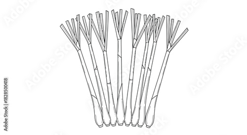 Abstract black and white line drawing of a fan shape with vertical lines