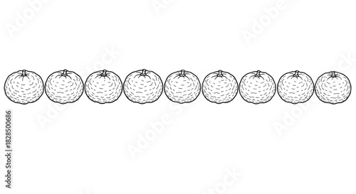 Row of hand drawn line art tomatoes on white background