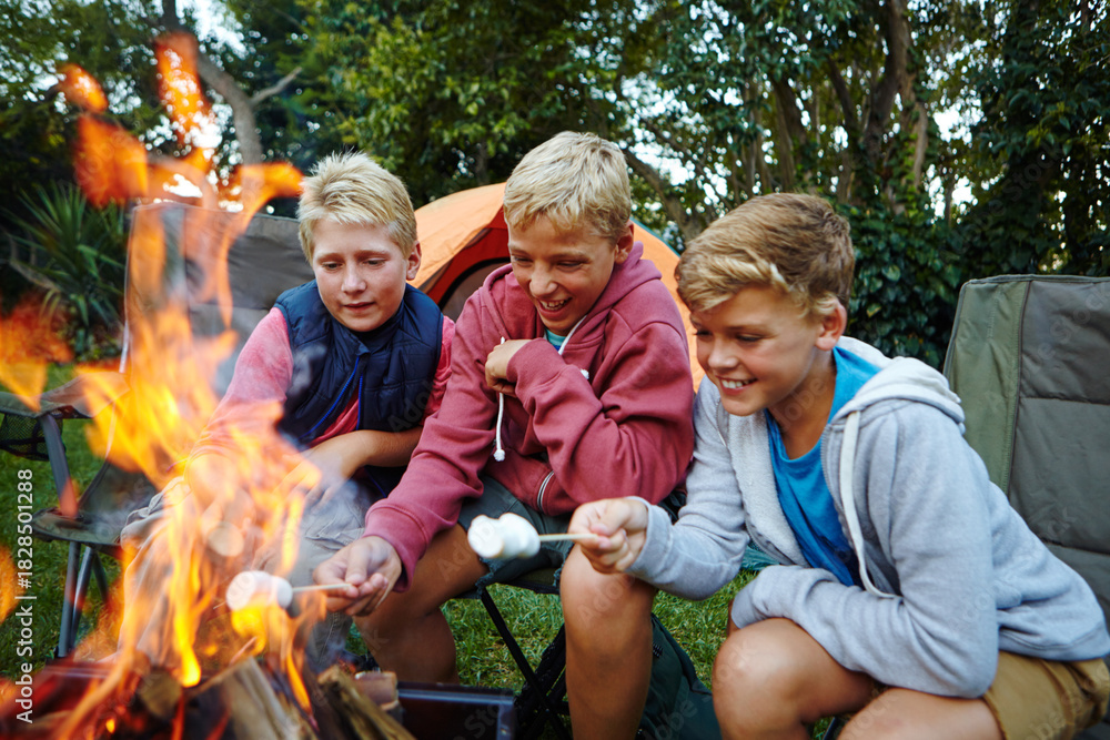 Fototapeta premium Boys outdoor, laugh and fire with marshmallow for childhood memories, connection or bonding together. Children, friends and happiness in nature with flame for smores treat, snack or camping activity.
