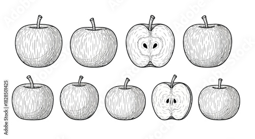 Collection of hand drawn apples and apple halves in sketch style
