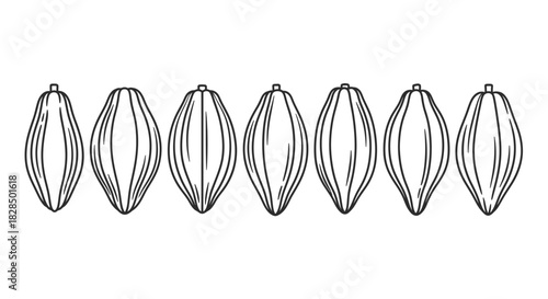 Abstract line art pattern of interconnected oval shapes in a row