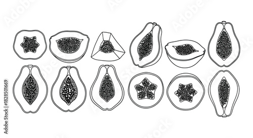 Collection of hand drawn papaya slices and halves in black and white
