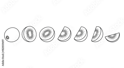 Hand drawn sketch of a whole kiwi fruit and slices on a white background