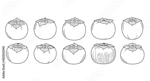 Collection of hand drawn persimmon fruit outlines with decorative tops