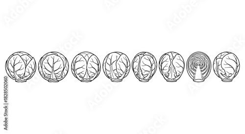 Row of oval gemstones with intricate facet patterns hand drawn illustration