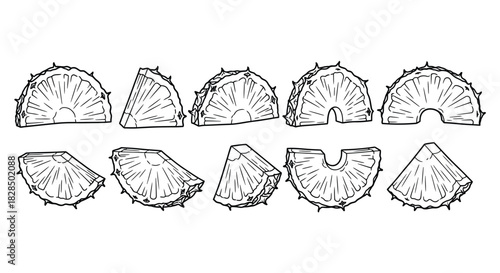 Collection of hand drawn orange slice illustrations on white background