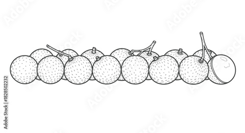 Hand drawn illustration of a bunch of grapes in black and white outline