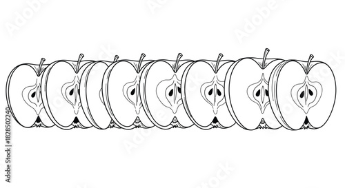 Row of sliced apples in a repeating pattern illustration