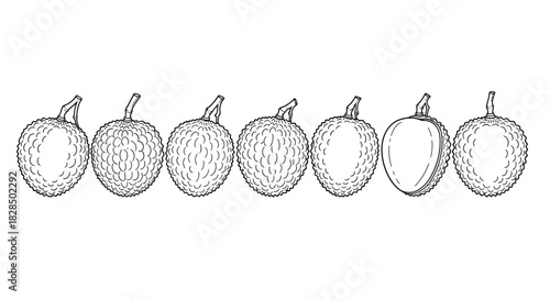 Hand drawn sketch of seven ripe dates in a row on a white background