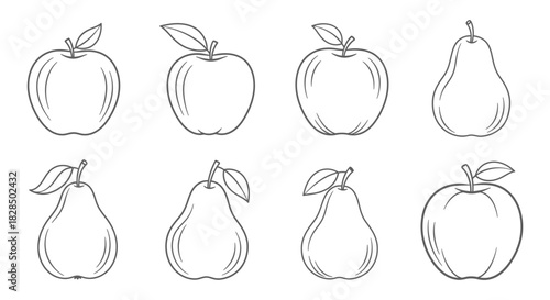 Collection of hand drawn apples and pears in a sketch style