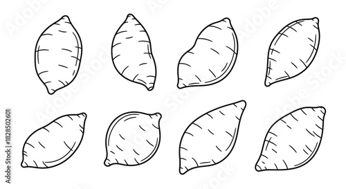 Hand drawn sketch of multiple sweet potatoes on white background