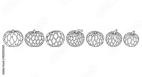 Row of hand drawn hop cones in black and white outline