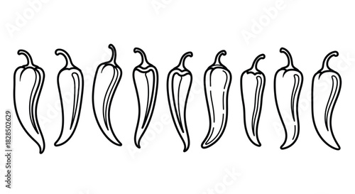 Hand drawn line art illustration of a row of chili peppers