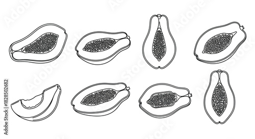Collection of hand drawn papaya slices and halves in sketch style