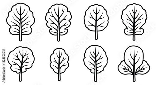 Collection of eight hand drawn outline leaf illustrations