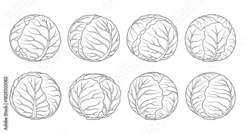 Collection of eight hand drawn easter eggs with leaf patterns in black and white