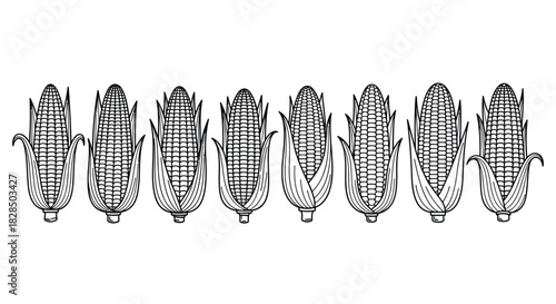 Row of stylized corn cobs with detailed texture and patterns