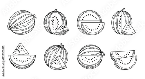 Hand drawn sketch of whole and sliced watermelons in a set