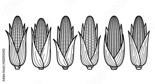 Row of six detailed black and white corn cobs in a line