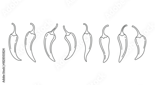 Hand drawn outline illustrations of various chili peppers