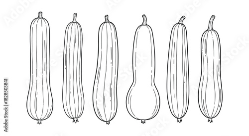 Hand drawn sketch of six different shaped inflatable balloons