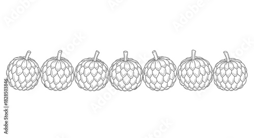 Line art illustration of seven artichokes arranged in a row on a white background