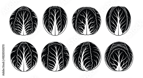 Eight stylized black and white illustrations of halved radicchio heads