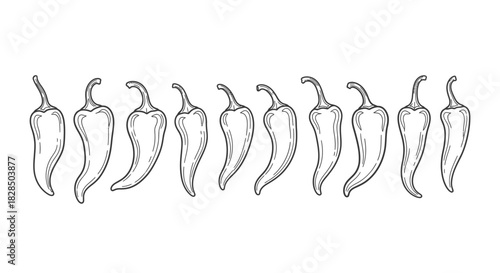 Hand drawn line art illustration of a row of chili peppers