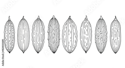 Abstract black and white ornamental pattern with repeating oval shapes