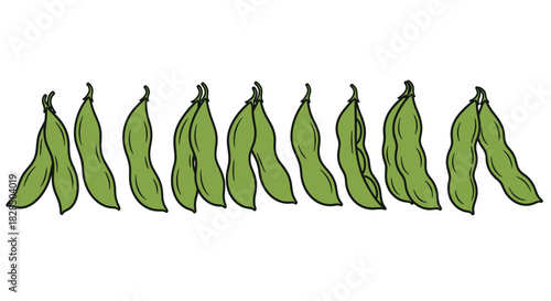 Row of fresh green edamame pods isolated on white background