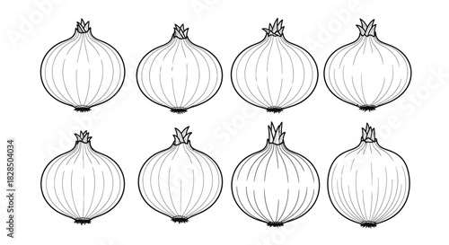 Eight hand drawn gooseberries in a row black and white illustration
