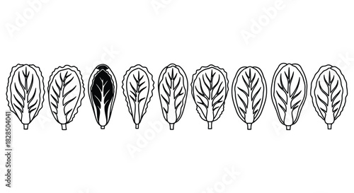 Row of stylized feathers or leaves with one distinct dark feather in the center