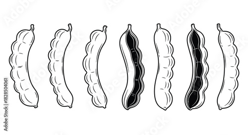 Collection of hand drawn tamarind pods in black and white outline