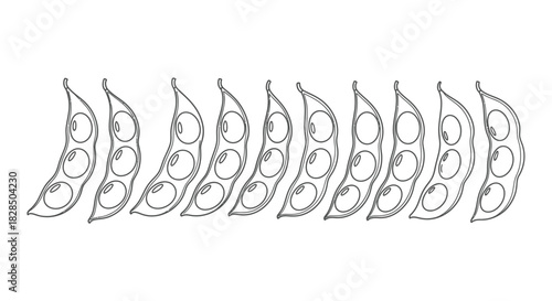 Row of stylized green bean pods with seeds visible in a line drawing