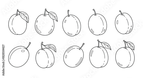 Collection of hand drawn plums and apricots with leaves and stems