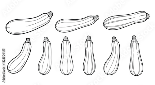 Collection of hand drawn zucchini vegetables in various poses and styles