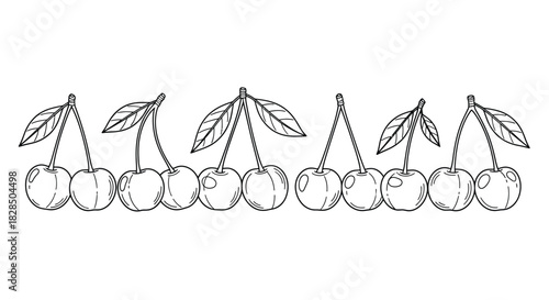 Hand drawn sketch of a bunch of cherries with leaves on white background