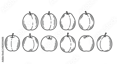 Collection of hand drawn outline fruits in black and white sketch style