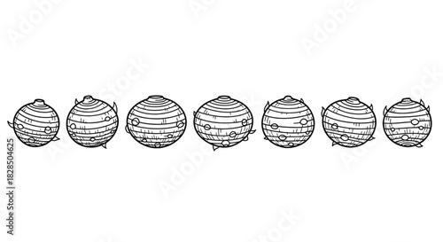 Row of stylized hand drawn botanical bulbs in black and white