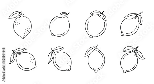 Collection of hand drawn outline lemons with leaves in a simple sketch style