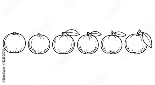 Line drawing of six plums with leaves on a white background