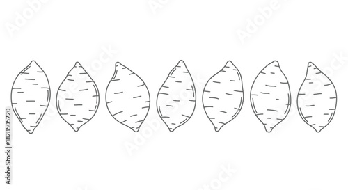 Row of hand drawn sweet potatoes isolated on white background