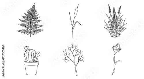 Elegant botanical line art collection featuring diverse plant species