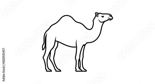 Minimalist camel line art design in black and white
