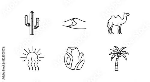 Minimal desert icons featuring cactus, camel, and palm tree