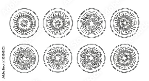 Collection of eight oval mandala designs in black and white