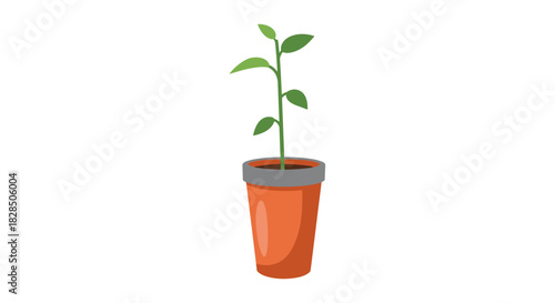 Young green plant in clay pot on white background