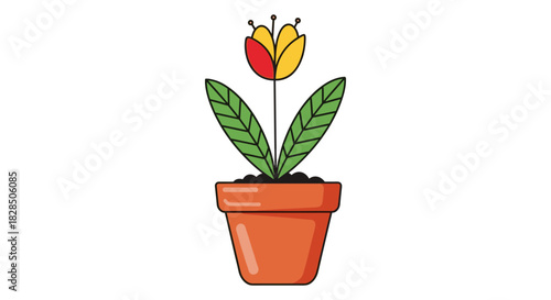 Colorful flower in pot with minimalist design