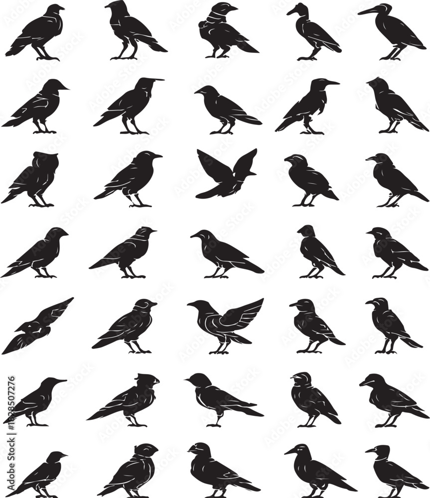 Fototapeta premium various robotic futuristic birds vector design silhouette style on white background