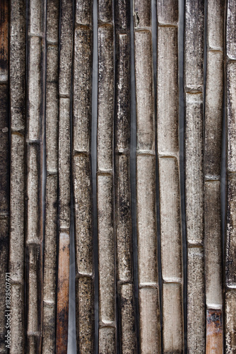 Unclean bamboo fence with mold